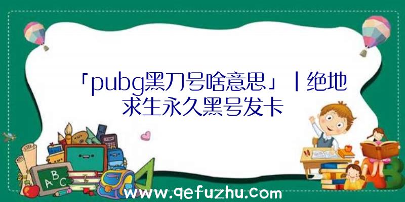 「pubg黑刀号啥意思」|绝地求生永久黑号发卡